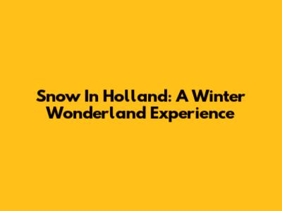 Snow In Holland: A Winter Wonderland Experience
