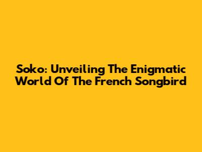 Soko: Unveiling The Enigmatic World Of The French Songbird