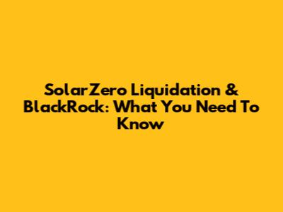 SolarZero Liquidation & BlackRock: What You Need To Know