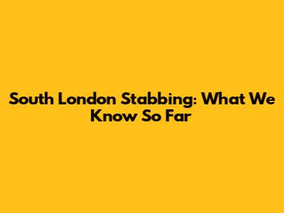 South London Stabbing: What We Know So Far