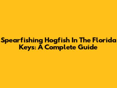 Spearfishing Hogfish In The Florida Keys: A Complete Guide
