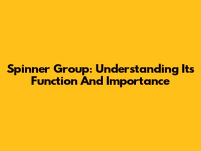 Spinner Group: Understanding Its Function And Importance