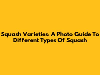 Squash Varieties: A Photo Guide To Different Types Of Squash