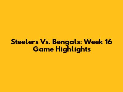 Steelers Vs. Bengals: Week 16 Game Highlights