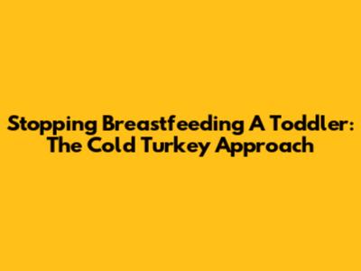 Stopping Breastfeeding A Toddler: The Cold Turkey Approach