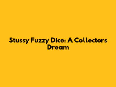 Stussy Fuzzy Dice: A Collector's Dream