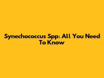 Synechococcus Spp: All You Need To Know