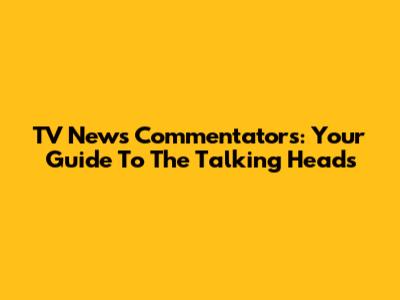 TV News Commentators: Your Guide To The Talking Heads