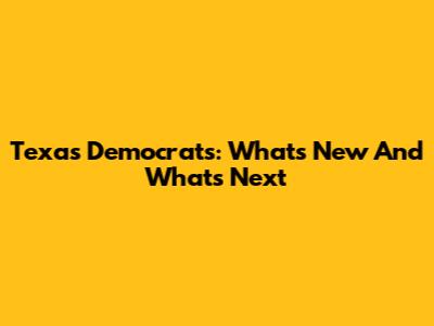 Texas Democrats: What's New And What's Next