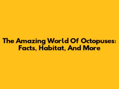 The Amazing World Of Octopuses: Facts, Habitat, And More
