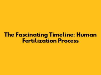 The Fascinating Timeline: Human Fertilization Process