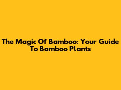 The Magic Of Bamboo: Your Guide To Bamboo Plants