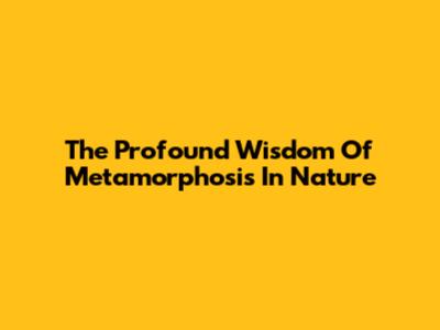 The Profound Wisdom Of Metamorphosis In Nature