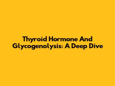 Thyroid Hormone And Glycogenolysis: A Deep Dive