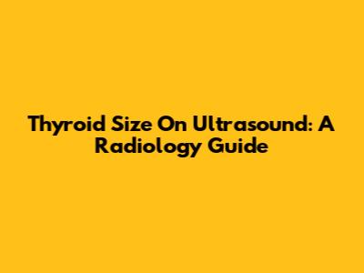 Thyroid Size On Ultrasound: A Radiology Guide