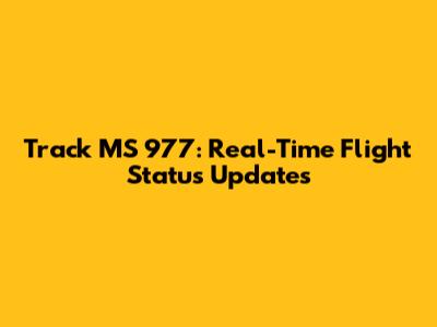 Track MS 977: Real-Time Flight Status Updates