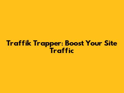 Traffik Trapper: Boost Your Site Traffic