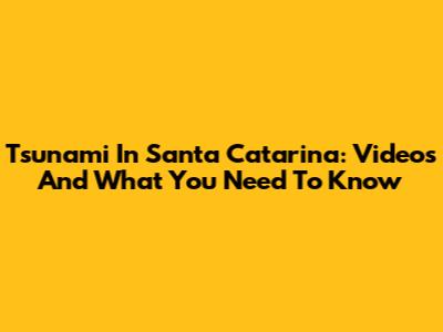 Tsunami In Santa Catarina: Videos And What You Need To Know