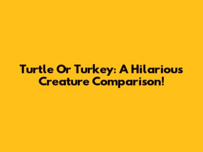 Turtle Or Turkey: A Hilarious Creature Comparison!