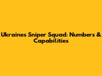 Ukraine's Sniper Squad: Numbers & Capabilities