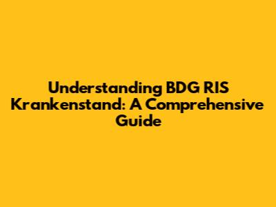 Understanding BDG RIS Krankenstand: A Comprehensive Guide