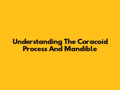 Understanding The Coracoid Process And Mandible