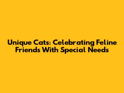 Unique Cats: Celebrating Feline Friends With Special Needs