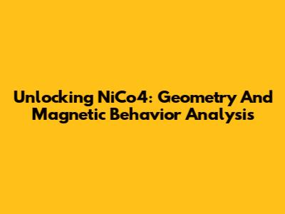 Unlocking NiCo4: Geometry And Magnetic Behavior Analysis