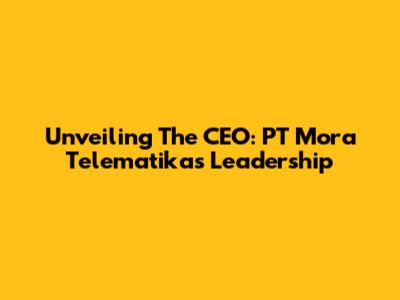 Unveiling The CEO: PT Mora Telematika's Leadership