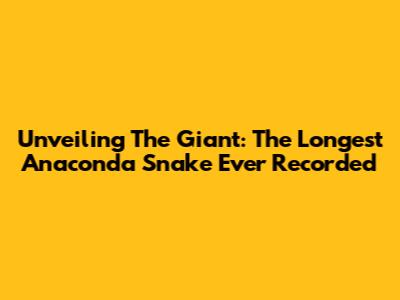 Unveiling The Giant: The Longest Anaconda Snake Ever Recorded