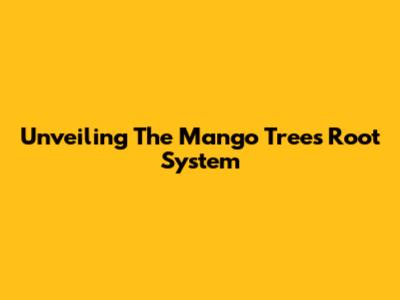 Unveiling The Mango Tree's Root System