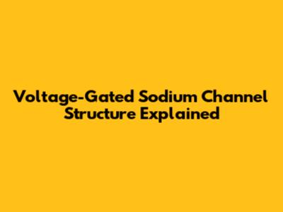 Voltage-Gated Sodium Channel Structure Explained