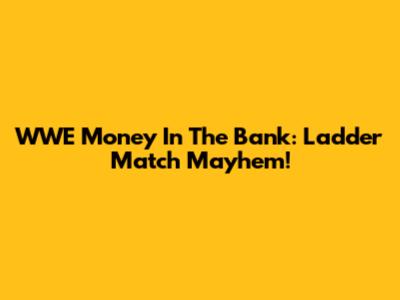 WWE Money In The Bank: Ladder Match Mayhem!