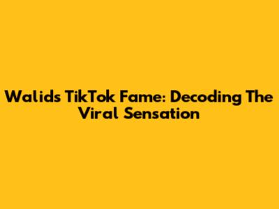 Walid's TikTok Fame: Decoding The Viral Sensation