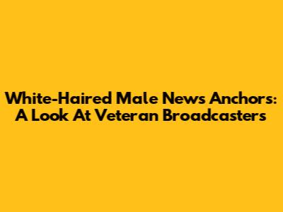 White-Haired Male News Anchors: A Look At Veteran Broadcasters