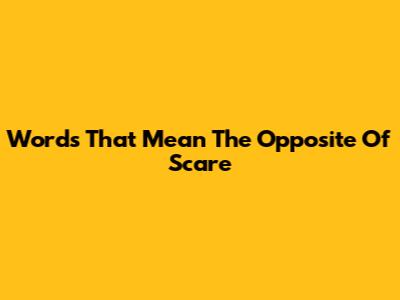 Words That Mean The Opposite Of Scare