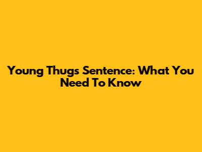 Young Thug's Sentence: What You Need To Know