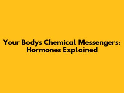 Your Body's Chemical Messengers: Hormones Explained