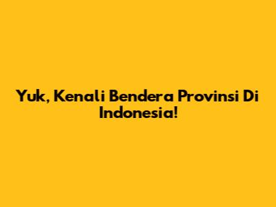 Yuk, Kenali Bendera Provinsi Di Indonesia!