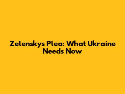 Zelensky's Plea: What Ukraine Needs Now