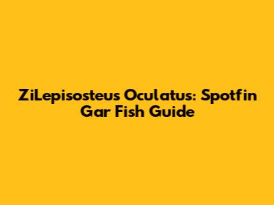 ZiLepisosteus Oculatus: Spotfin Gar Fish Guide