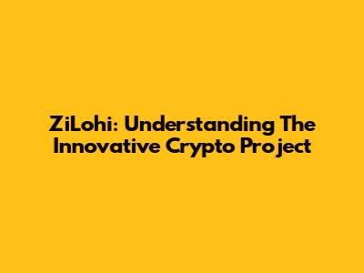 ZiLohi: Understanding The Innovative Crypto Project