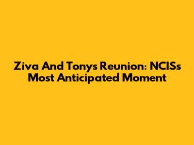 Ziva And Tony's Reunion: NCIS's Most Anticipated Moment